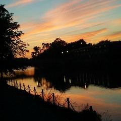 Sounds from Monday evening