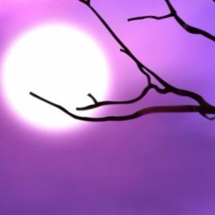 Ambient, chillout, atmospheric, instrumental, piano //06/2016