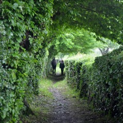 L'appel de la nature.