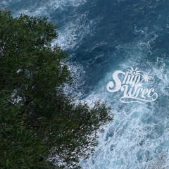 Upfront 074: Shipwrec