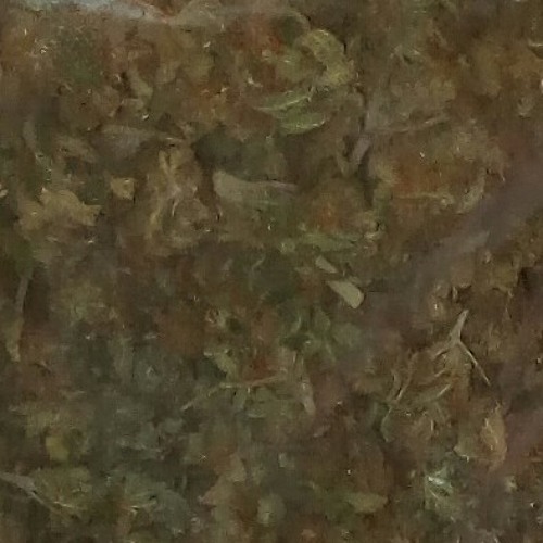 PROK - EL NIÑO DEL BAGDAD  VIDEOCLIP.mp3