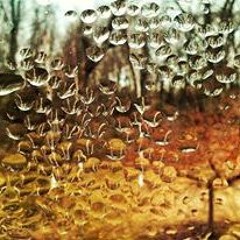 Thunderflies- Xenlaa