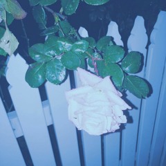 Things Happen And That's Okay (demo)