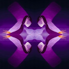 Folders (Jan Amit Remix)