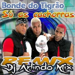 Só As Cachorras Bonde Do Tigrão Remix By Dj Arlindo Mix=Download Gratis