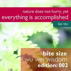 Bitesize Wu Wei Wisdom 002 - Nature does not hurry, yet everything is accomplished
