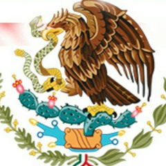 Puros Mexicanos - Kota  tazz Mr dreyni Amg Cota Jr Acroz hm