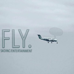 LANDR - Fly Right Now- ROLO SKO (1)
