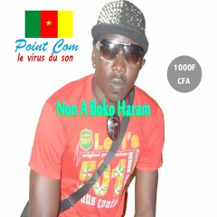 Mix BIKUTSI 2014 Vol 1 DJ POINTCOM Tel; 679916430