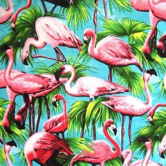 tropical ac!d