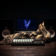 Fever Ray - If I Head A Heart (Christopher Bridge Edit)