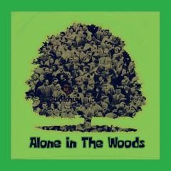 Bodikhuu - Alone In The Woods ★album Teaser★ 2016