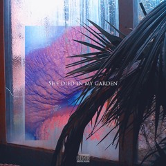 1-800-NO-MONEY-NO-RAF [Full f Free]