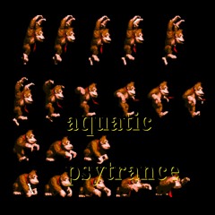 DONKEY KONG COUNTRY- aquatic psytrance