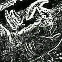 Sam Main and Dusty Hayes - Break Ma Cocoon