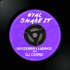 Gooseman Feat. Ludakid & Dj Cosmic - Gyal Shake It (Club Mix)**FREE DOWNLOAD CLICK BUY**