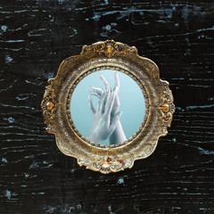SHALLOWS - Empire Of The Animal