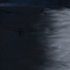 ...murmuró con furia... (version I) / for flute, bass clarinet, violin & cello