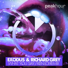 Exodus & Richard Grey - What You Say (Ken Loi Remix) OUT NOW! Supported by: TIESTO // SIRIUS XM
