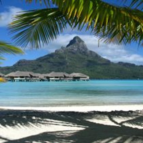 HARMONY MX BASS 2016