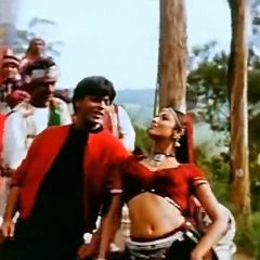 PUFF DADDY-CAN'T NOBODY HOLD ME DOWN Vs Sharukh Khan-dil se chaiyya chaiyya(SHY BOY STEVE REMIX)