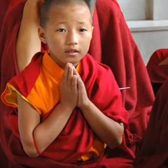 Mantra Tibetano De Cura