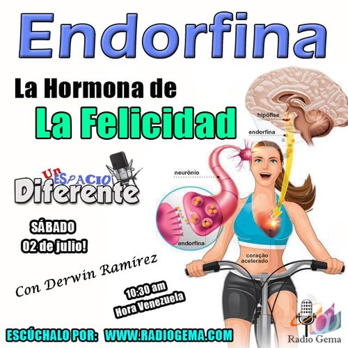 Stream Endorfina La Hormona De La Felicidad From Derwinramirez Listen Online For Free On Soundcloud<script async src=