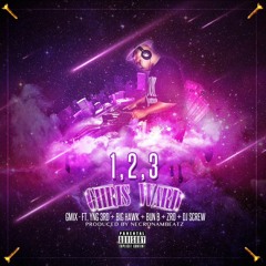 Chris Ward ft. Yng 3rd, H.A.W.K., Bun B, Z-Ro, & DJ Screw - 1,2,3 G-Mix