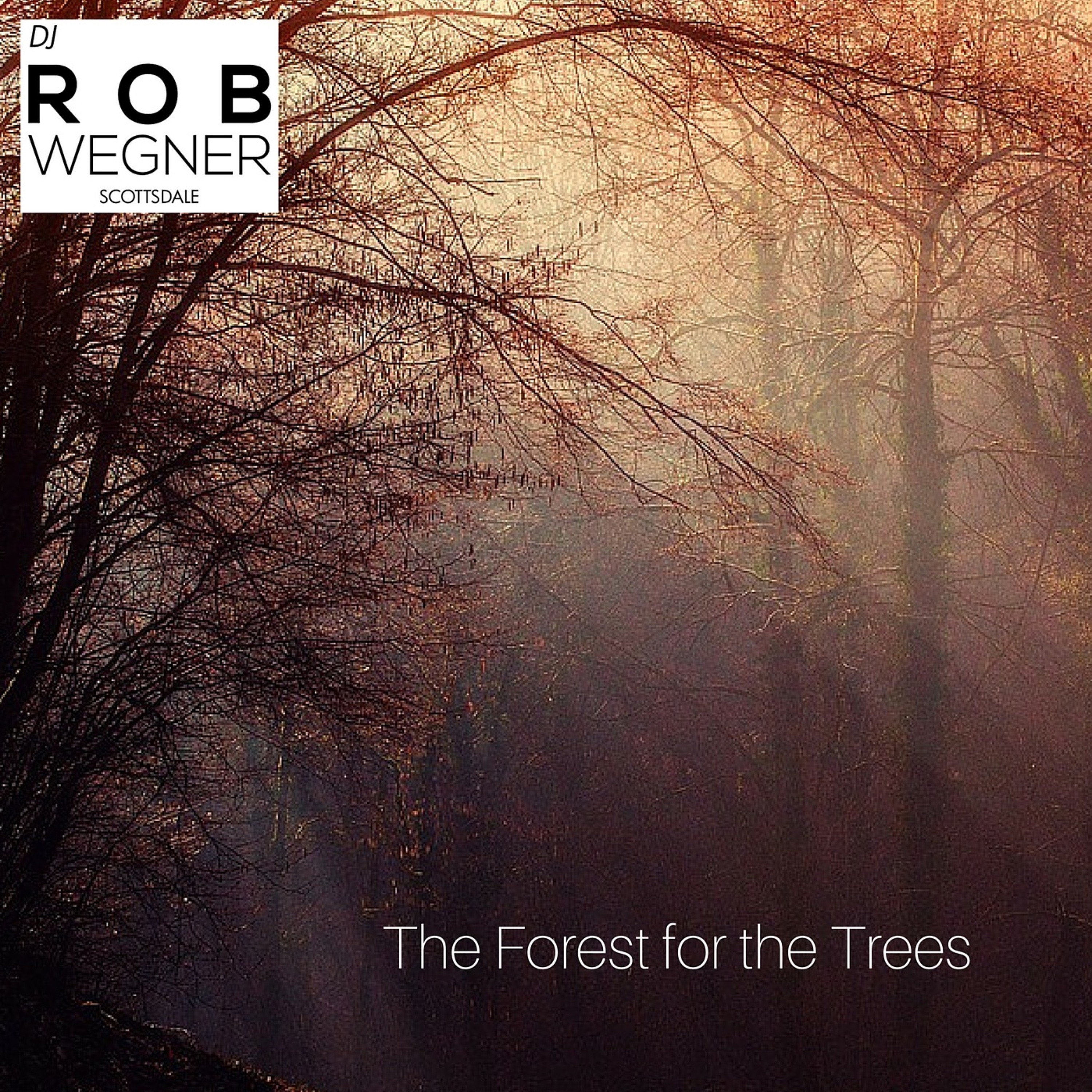 Rob Wegner