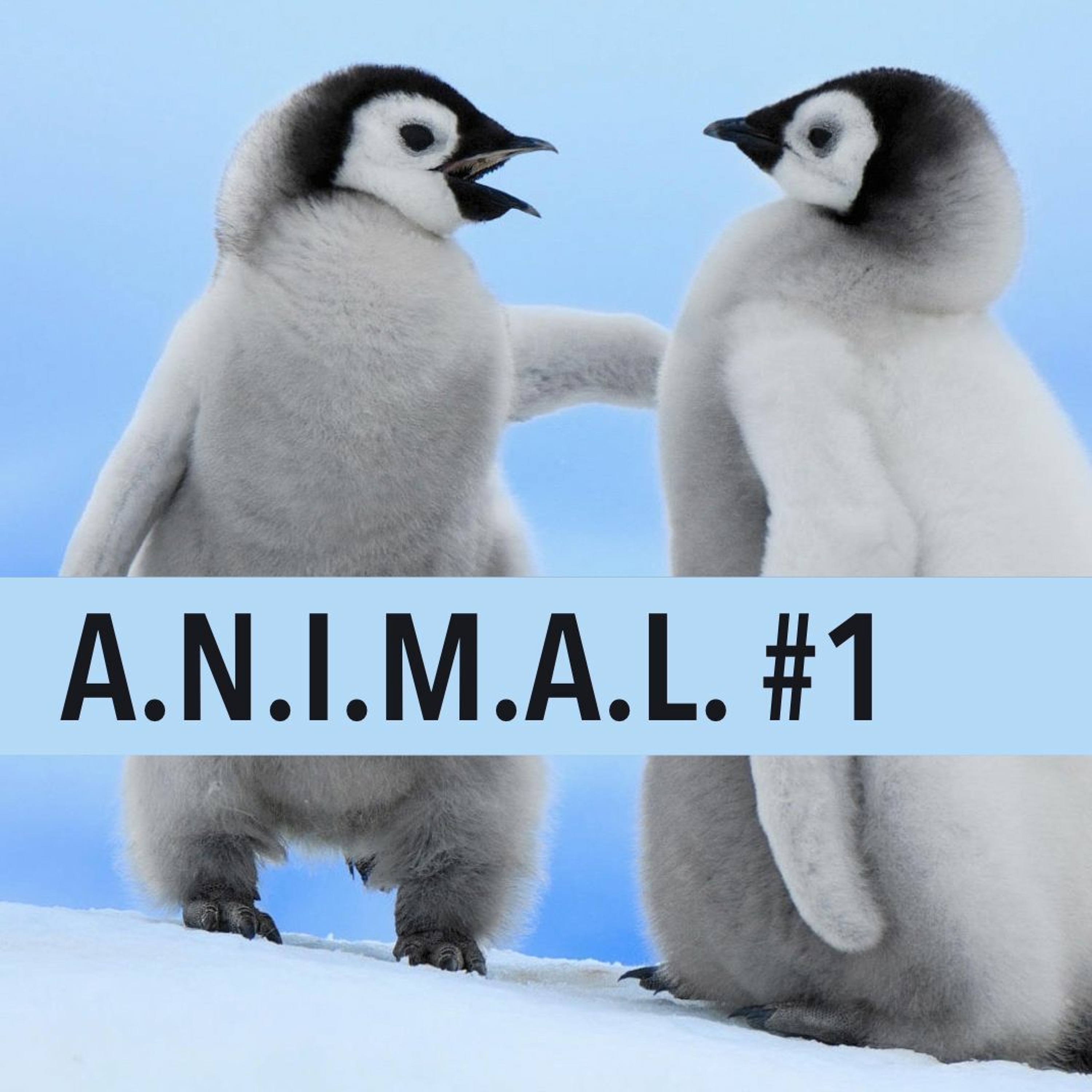 S1E1 PENGUINS