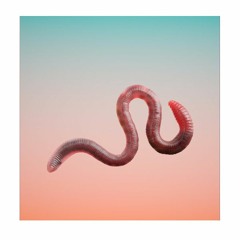 WURM - I'M GONNA KILL YOU (SAVORY REMIX)