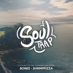 Bones - ShrimpPizza