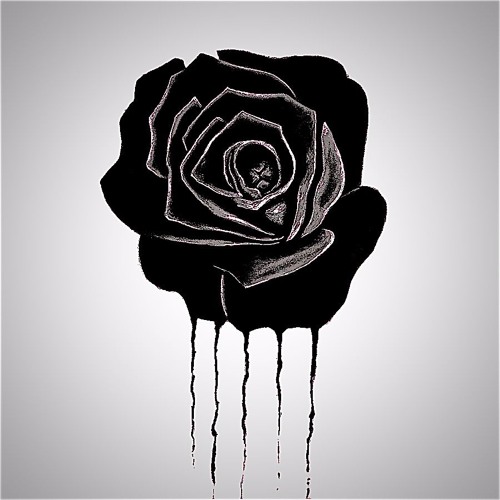 Rose Bushes