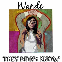 They Didn't Know - @OMGitsWande