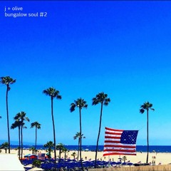 Bungalow Soul #2