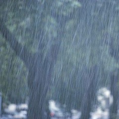 Raag Chhayanat - Ustaad Ali Akbar Khan on Sarod