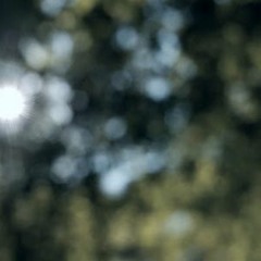 Falls・TaiPaBeet