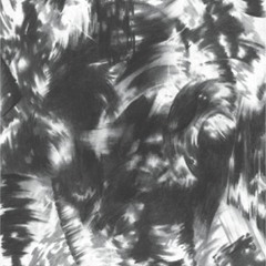 CARRE - LFTM #1 (ALT29)