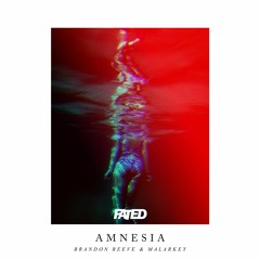 Brandon Reeve & Malarkey - Amnesia