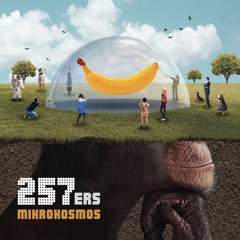 257ers - Out Of Se Window (Mikrokosmos)