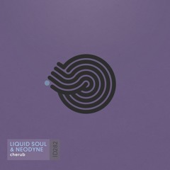Liquid Soul & Neodyne - Cherub (sample)