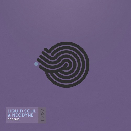 Liquid Soul & Neodyne - Cherub (sample)
