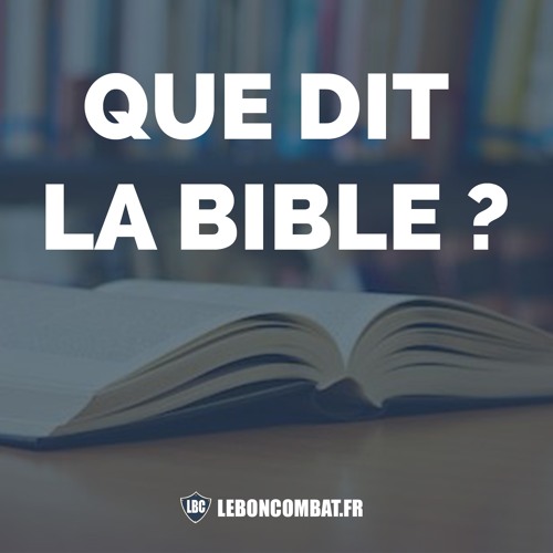 Stream 44 Que dit la Bible au sujet de la polygamie ? by Le Bon Combat Listen online for