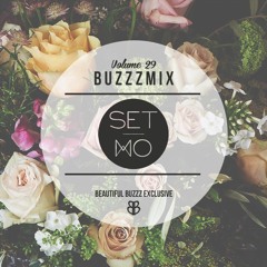 Buzzzmix Vol. 29 - Set Mo