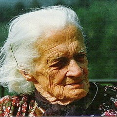 DER TOD IST EIN MEISTER AUS DEUTSCHLAND - accompanied by TT GEIGENSCHREYon Elektrick Violin...