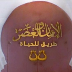 30 حلقة مجمعة لأفضل لقطات البرنامج - الجزء ٢