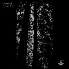 TH077_Never Lost - There's No Way Out (Feat. Dismal)