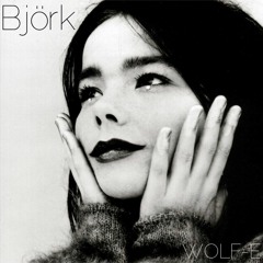 Bjork - 1993 (WOLF-E Flip)