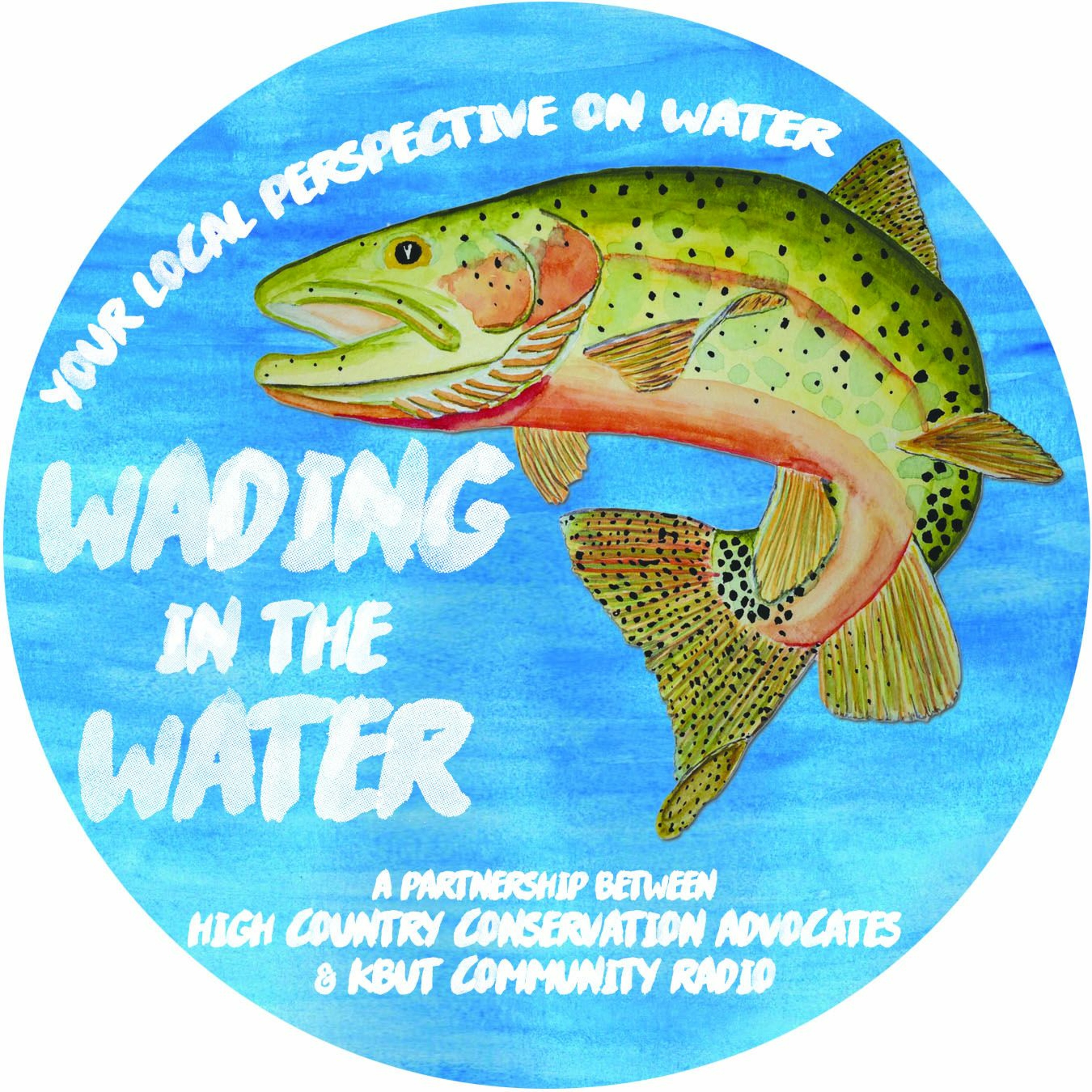 Wading In The Water #44:  Local Instream Flow Protections episode artwork