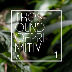 PROMO - THE SOUND OF PRIMITIVA #1 - by TANNURI